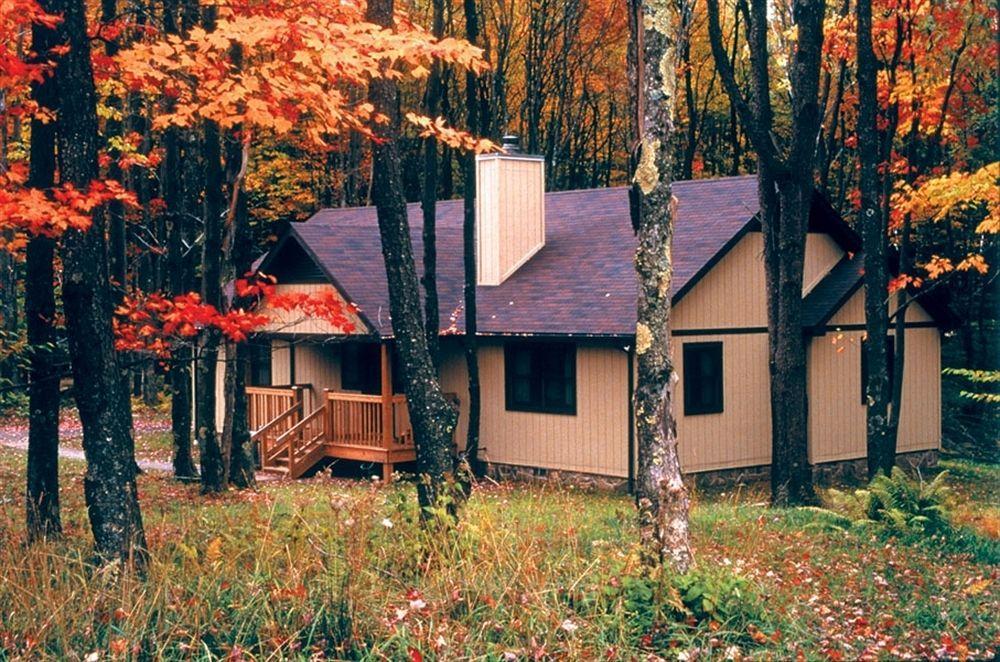 Canaan Valley Resort State Park Davis Exteriör bild