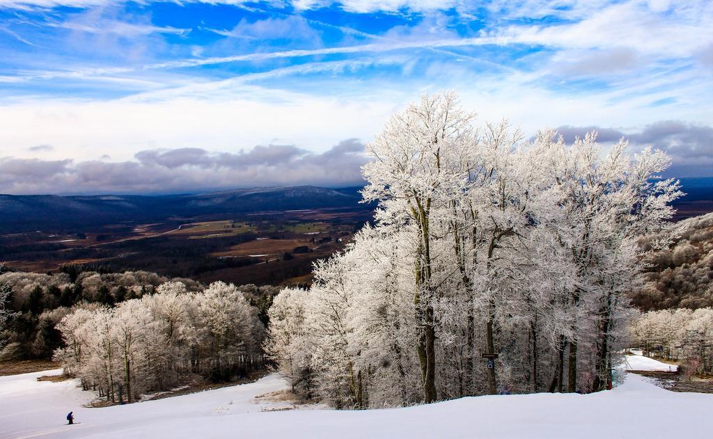 Canaan Valley Resort State Park Davis Exteriör bild