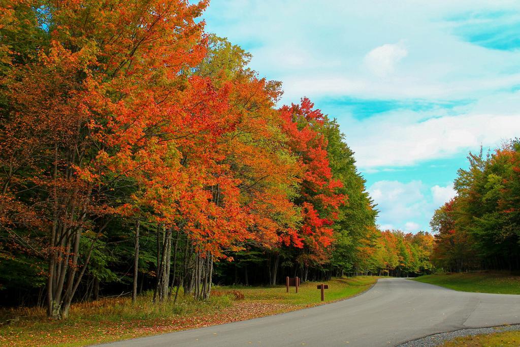 Canaan Valley Resort State Park Davis Exteriör bild