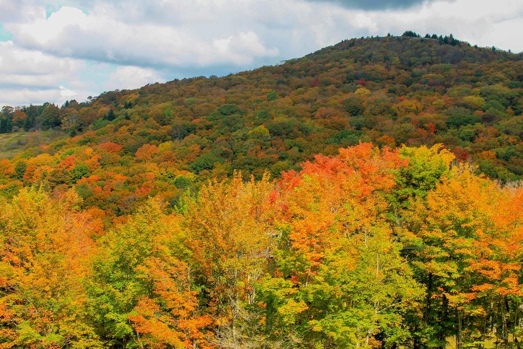 Canaan Valley Resort State Park Davis Exteriör bild