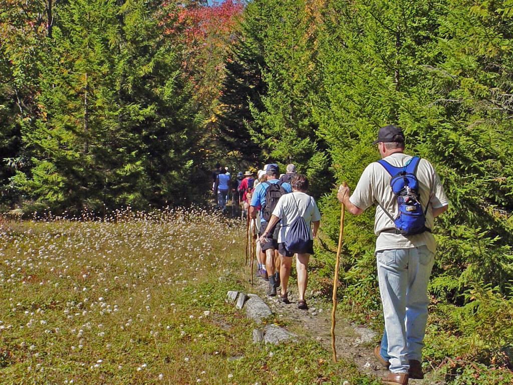 Canaan Valley Resort State Park Davis Exteriör bild