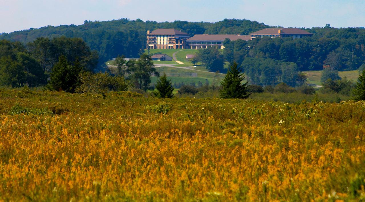 Canaan Valley Resort State Park Davis Exteriör bild